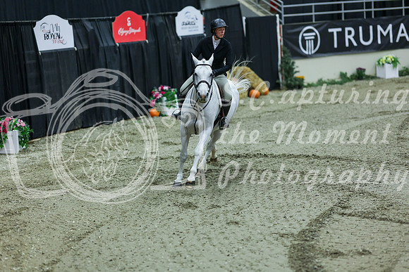 2025 - Shea - Royal West - Saturday October 18th - 06673