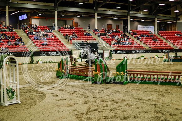 2025 - Haylee - Royal West - Saturday October 18th - 08862