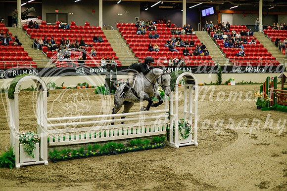 2025 - Haylee - Royal West - Saturday October 18th - 08866