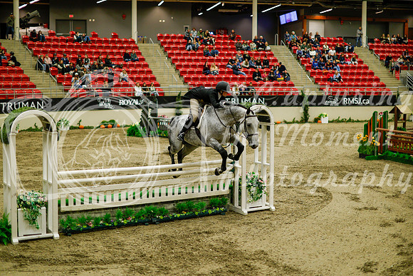 2025 - Haylee - Royal West - Saturday October 18th - 08867