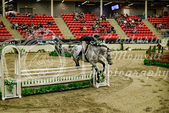 2025 - Haylee - Royal West - Saturday October 18th - 08868