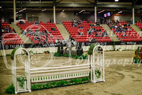 2025 - Haylee - Royal West - Saturday October 18th - 08872