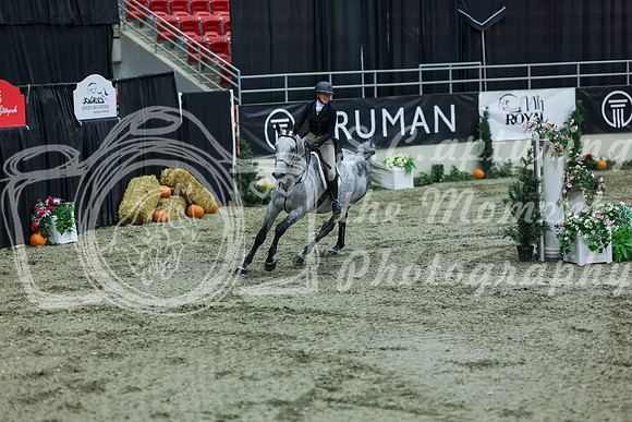 2025 - Shea - Royal West - Saturday October 18th - 07203
