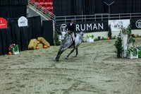 2025 - Shea - Royal West - Saturday October 18th - 07204