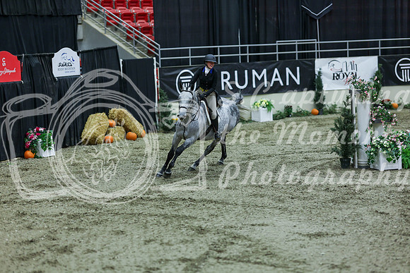 2025 - Shea - Royal West - Saturday October 18th - 07204