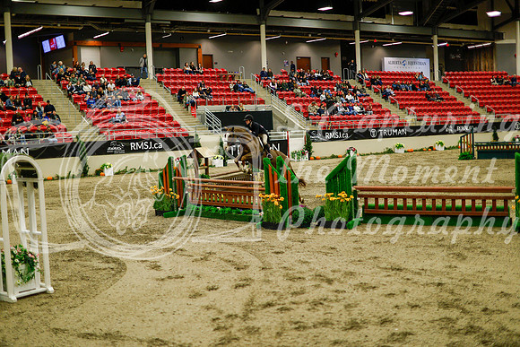2025 - Haylee - Royal West - Saturday October 18th - 08874