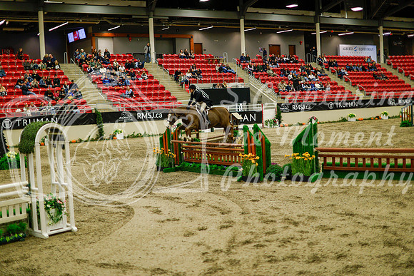 2025 - Haylee - Royal West - Saturday October 18th - 08877