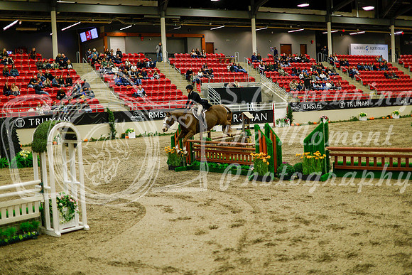 2025 - Haylee - Royal West - Saturday October 18th - 08878