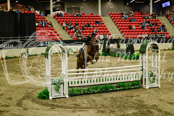 2025 - Haylee - Royal West - Saturday October 18th - 08879