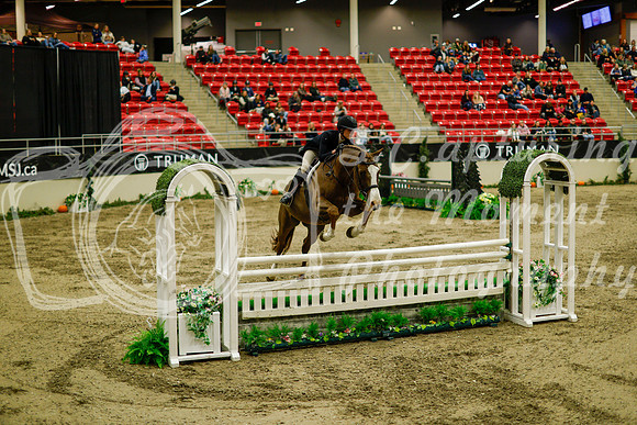 2025 - Haylee - Royal West - Saturday October 18th - 08880
