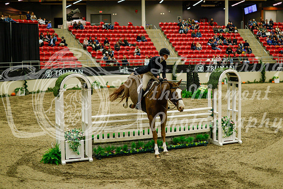 2025 - Haylee - Royal West - Saturday October 18th - 08883