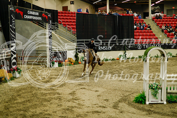 2025 - Haylee - Royal West - Saturday October 18th - 08889