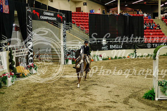 2025 - Haylee - Royal West - Saturday October 18th - 08891
