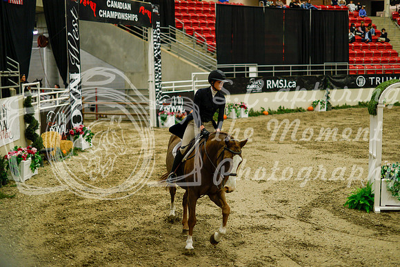 2025 - Haylee - Royal West - Saturday October 18th - 08893