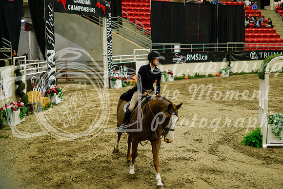 2025 - Haylee - Royal West - Saturday October 18th - 08894