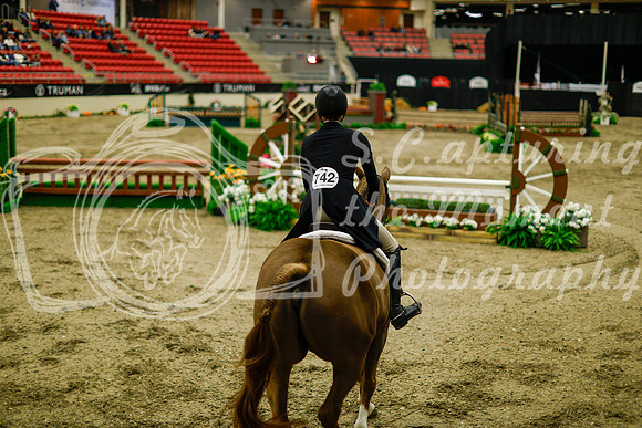2025 - Haylee - Royal West - Saturday October 18th - 08895