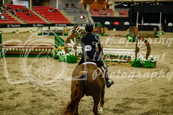 2025 - Haylee - Royal West - Saturday October 18th - 08896