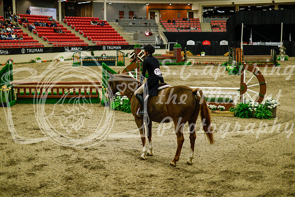 2025 - Haylee - Royal West - Saturday October 18th - 08898