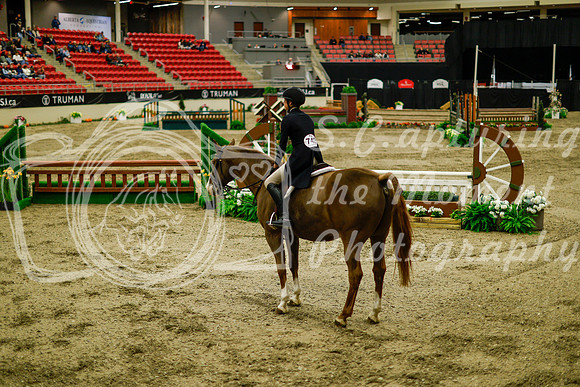 2025 - Haylee - Royal West - Saturday October 18th - 08897