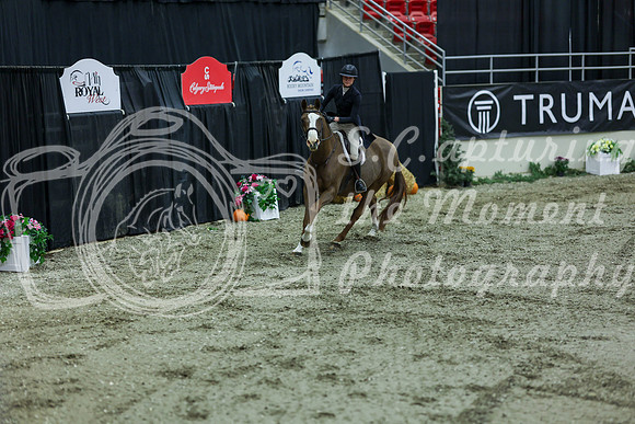 2025 - Shea - Royal West - Saturday October 18th - 07269