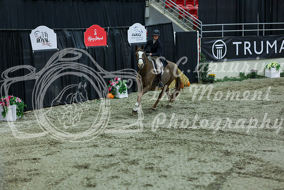 2025 - Shea - Royal West - Saturday October 18th - 07270