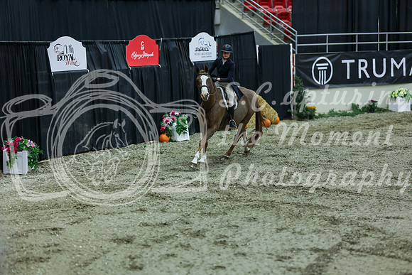 2025 - Shea - Royal West - Saturday October 18th - 07271