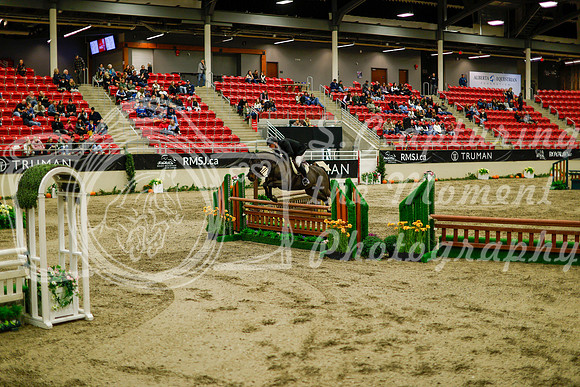 2025 - Haylee - Royal West - Saturday October 18th - 08902
