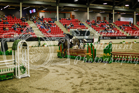 2025 - Haylee - Royal West - Saturday October 18th - 08904