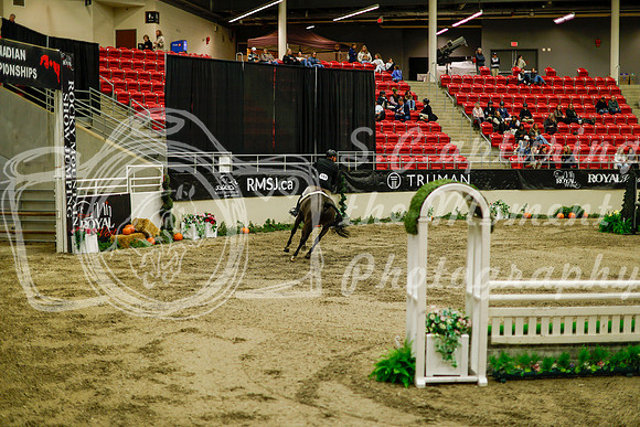 2025 - Haylee - Royal West - Saturday October 18th - 08905