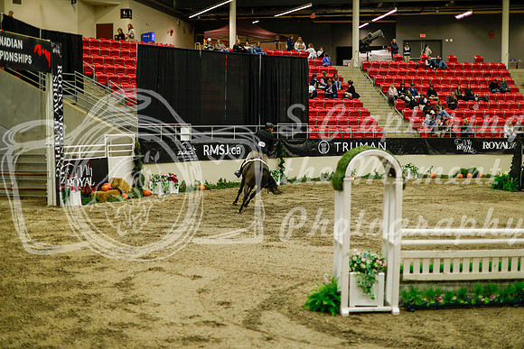 2025 - Haylee - Royal West - Saturday October 18th - 08906