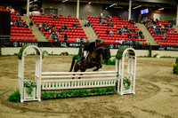 2025 - Haylee - Royal West - Saturday October 18th - 08907