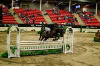 2025 - Haylee - Royal West - Saturday October 18th - 08908