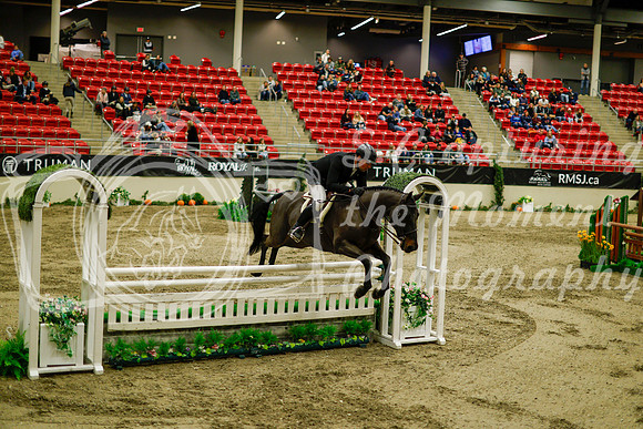 2025 - Haylee - Royal West - Saturday October 18th - 08909