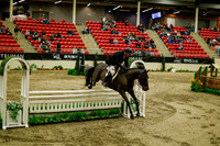 2025 - Haylee - Royal West - Saturday October 18th - 08910