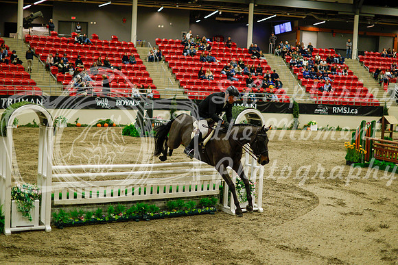 2025 - Haylee - Royal West - Saturday October 18th - 08910