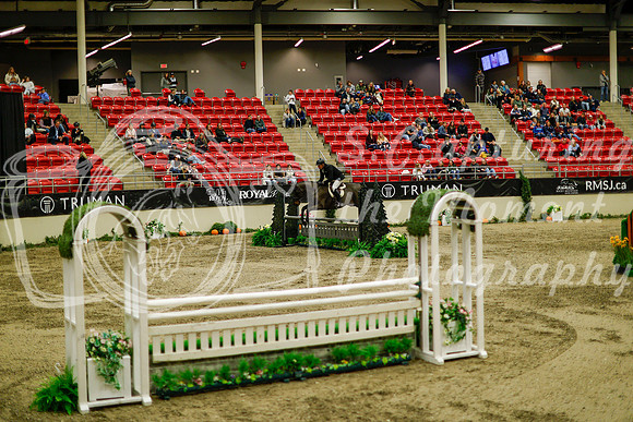 2025 - Haylee - Royal West - Saturday October 18th - 08913