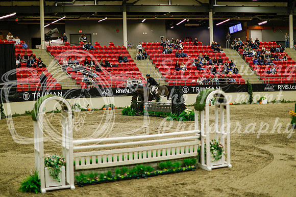2025 - Haylee - Royal West - Saturday October 18th - 08914