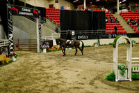 2025 - Haylee - Royal West - Saturday October 18th - 08916