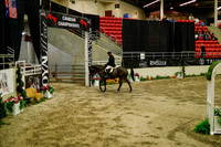 2025 - Haylee - Royal West - Saturday October 18th - 08918