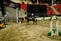 2025 - Haylee - Royal West - Saturday October 18th - 08917
