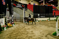 2025 - Haylee - Royal West - Saturday October 18th - 08919