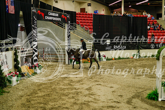 2025 - Haylee - Royal West - Saturday October 18th - 08919