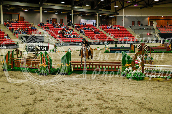 2025 - Haylee - Royal West - Saturday October 18th - 08720