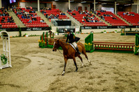 2025 - Haylee - Royal West - Saturday October 18th - 08723