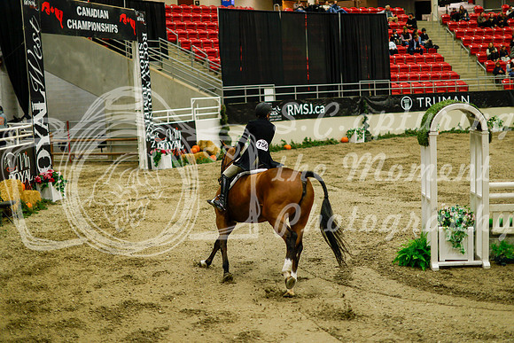 2025 - Haylee - Royal West - Saturday October 18th - 08724