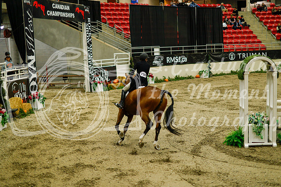 2025 - Haylee - Royal West - Saturday October 18th - 08725