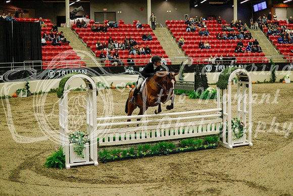 2025 - Haylee - Royal West - Saturday October 18th - 08727