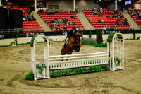 2025 - Haylee - Royal West - Saturday October 18th - 08726