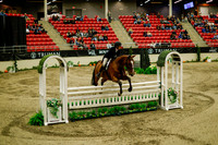 2025 - Haylee - Royal West - Saturday October 18th - 08728