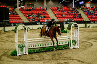 2025 - Haylee - Royal West - Saturday October 18th - 08729